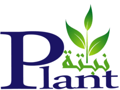 plant.ma logo a propos page